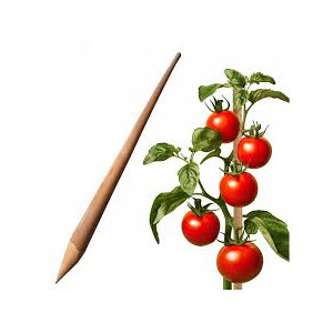 D.Palik do pomidorów 28x28x1500